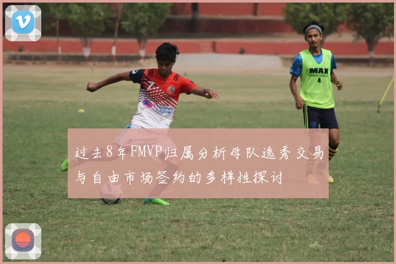 过去8年FMVP归属分析母队选秀交易与自由市场签约的多样性探讨