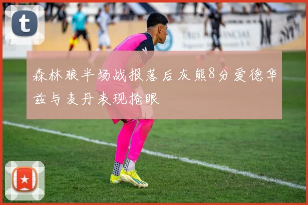 森林狼半场战报落后灰熊8分爱德华兹与麦丹表现抢眼