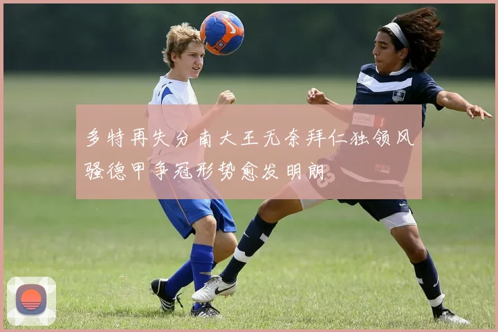 多特再失分南大王无奈拜仁独领风骚德甲争冠形势愈发明朗