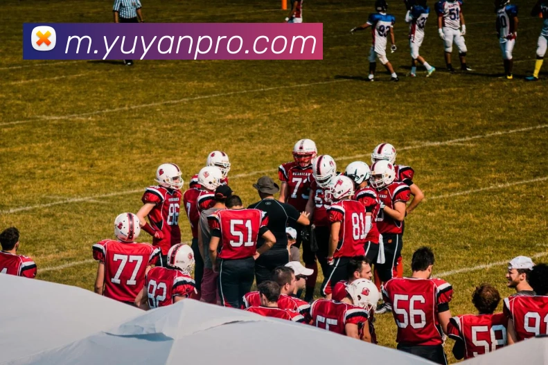 雨燕直播平台生态图