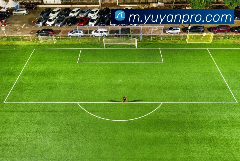 雨燕直播全站App